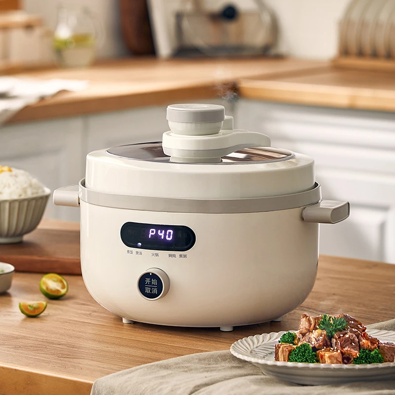 220V 4L Elektrischer Reiskoche – Home Cooking Electric Bewertung und Preis