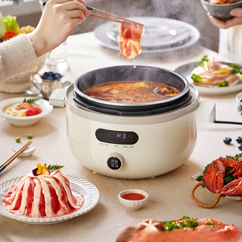 220V 4L Elektrischer Reiskoche – Home Cooking Electric Bewertung und Preis