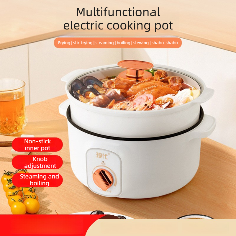 Multifunktionaler Mini-Elektro – Home Cooking Electric Bewertung und Preis